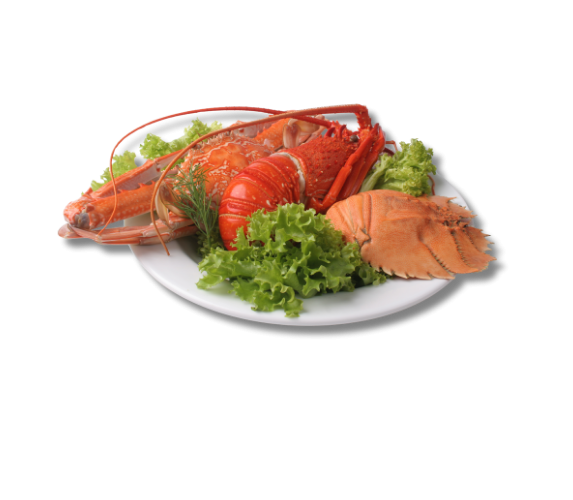 Hải Sản